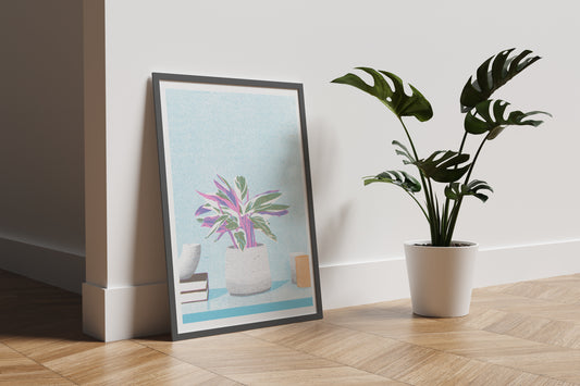 Rainbow Calathea