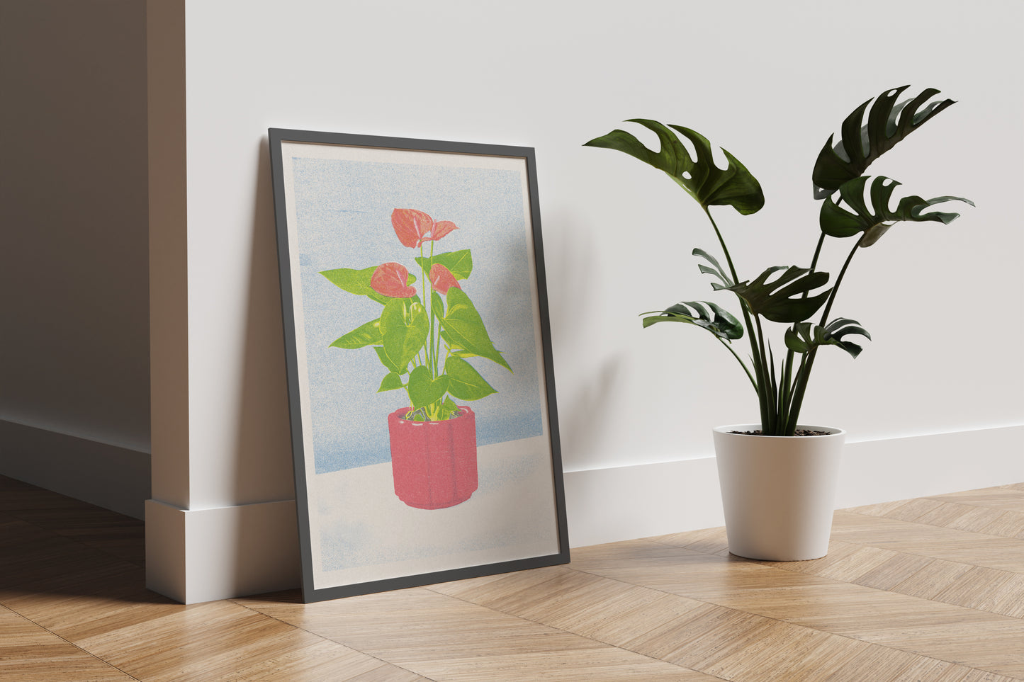Red Anthurium